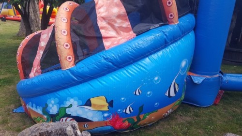 Springkussen Mini walvis met slide